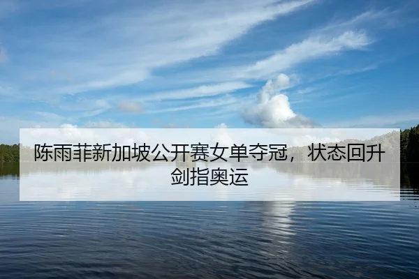 陈雨菲新加坡公开赛女单夺冠，状态回升剑指奥运
