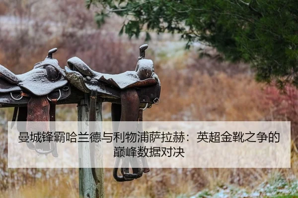 曼城锋霸哈兰德与利物浦萨拉赫：英超金靴之争的巅峰数据对决