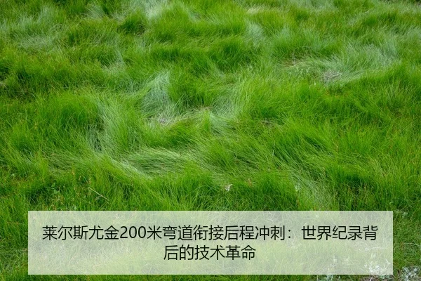 lai-er-si-you-jin-mi-wan-dao-xian-jie-hou-cheng-chong-ci-shi-jie-ji-lu-bei-hou-de-ji-shu-ge-ming-2-648.jpg