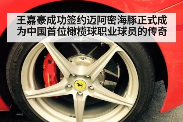 王嘉豪成功签约迈阿密海豚正式成为中国首位橄榄球职业球员的传奇