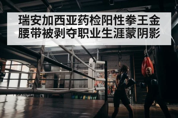 boxer training
